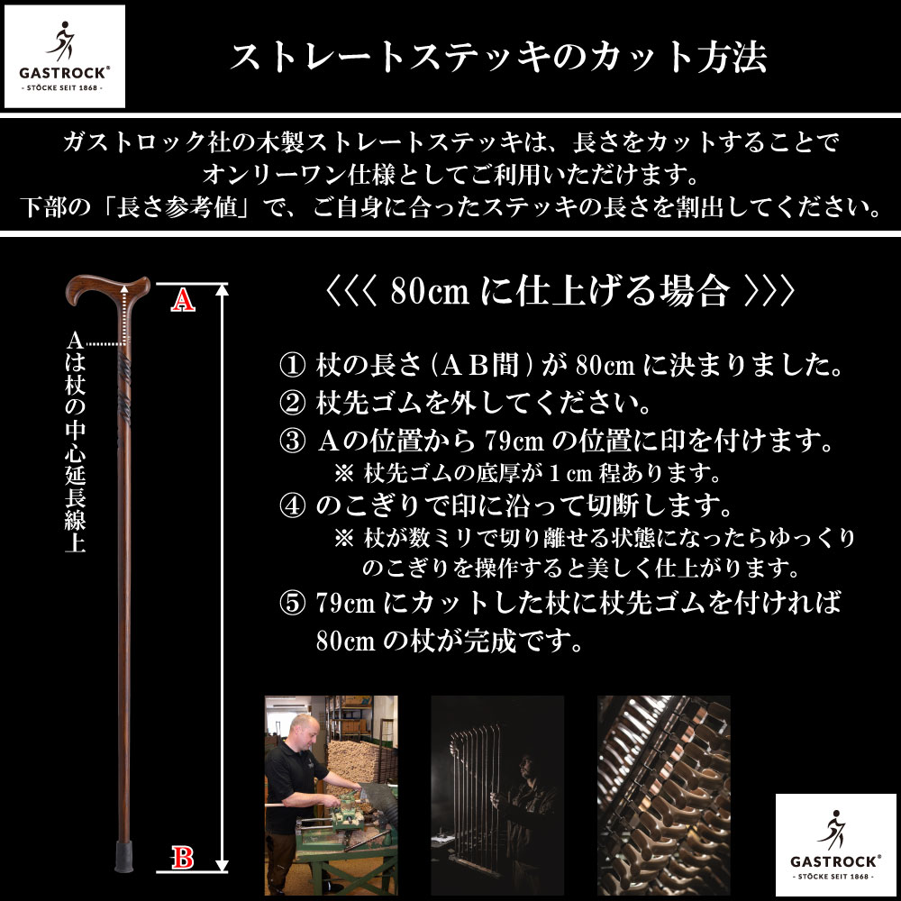 楽天市場】ステッキ 【 20％OFF 】 杖 送料無料 ケイ・ホスピア ガスト