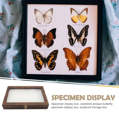 楽天市場】Lurrose 標本ケース 標本箱 木製 ディスプレイボックス 標本
