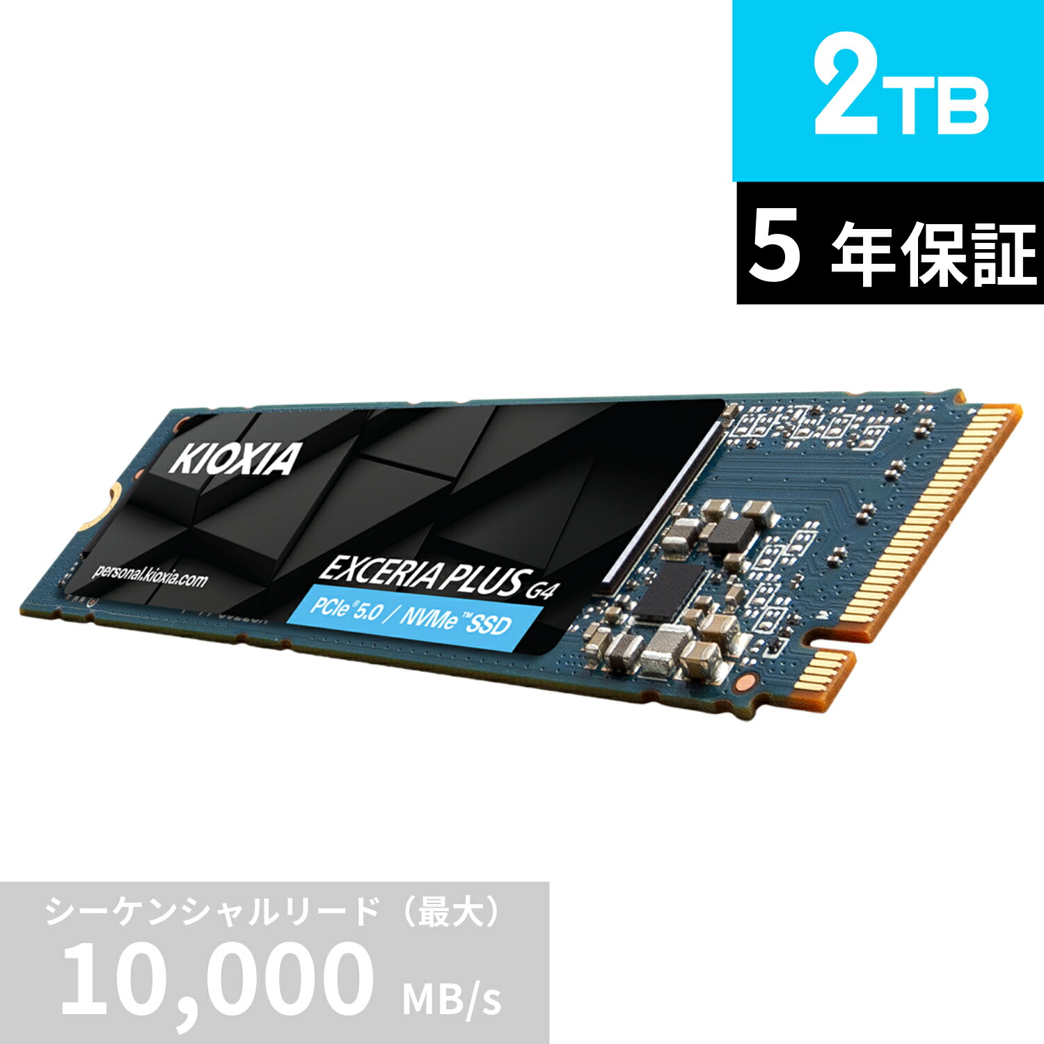 kioxia m.2 ssd 2tb」の人気商品一覧 | 安い商品を通販サイトから探す
