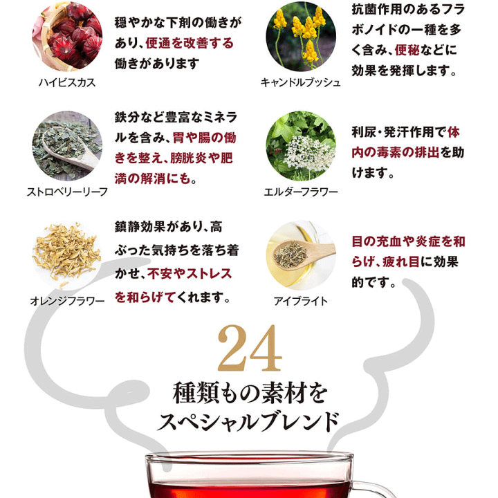 楽天市場】【期間限定スーパーSALE20%OFF】デトックスハーブティー 10