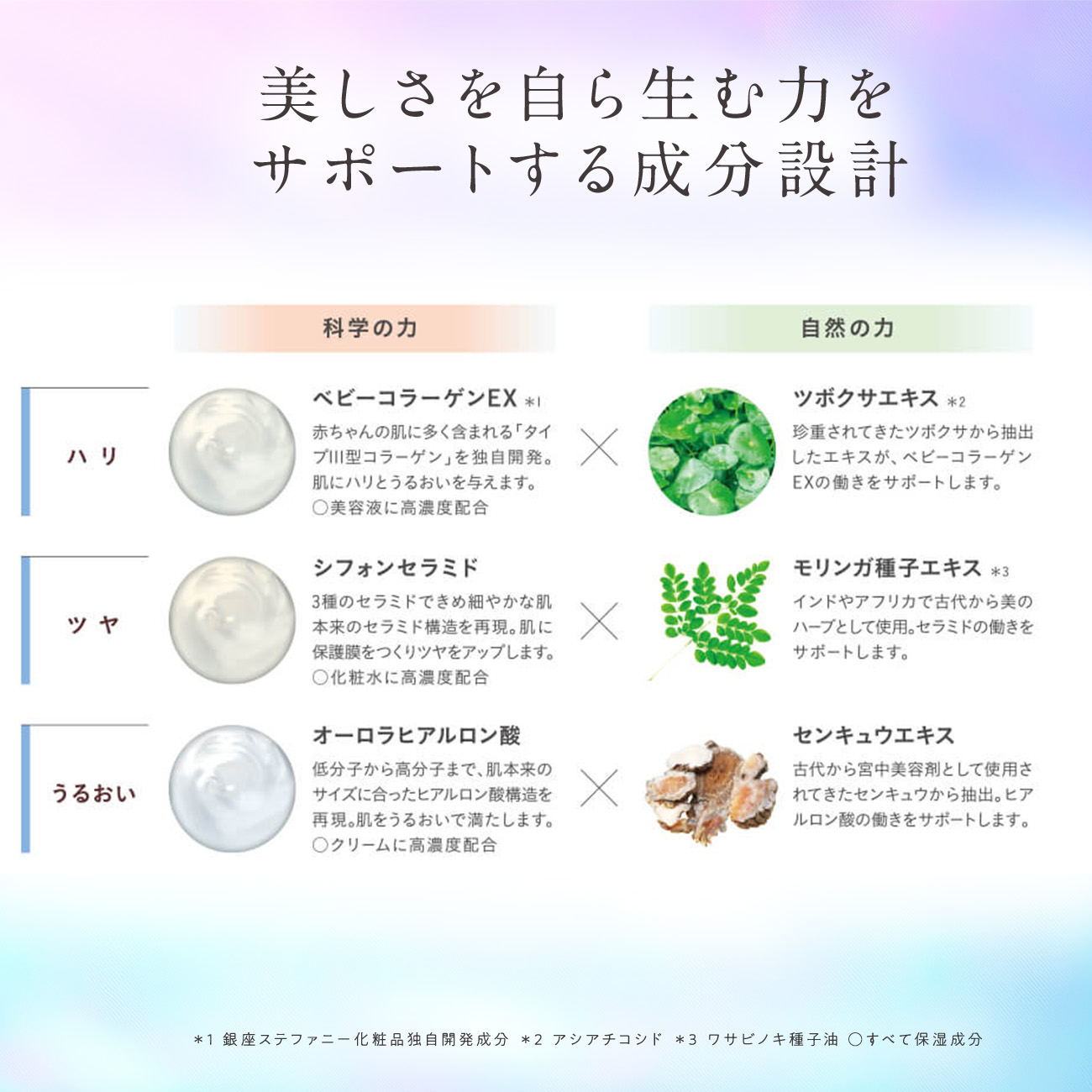 楽天市場】【公式】Suhadabi モイストクレンジングジェル / 化粧落とし