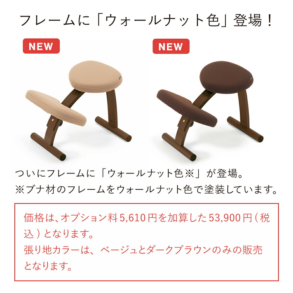Balans Easy バランスチェア サカモトハウス ベージュ色 カバー付き
