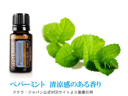 楽天市場】決算価格 2本セットドテラ アロマオイル オールマイティな