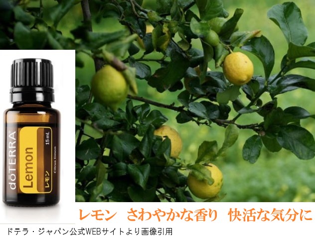 楽天市場】決算価格2本セットドテラ アロマオイル レモン doTERRA