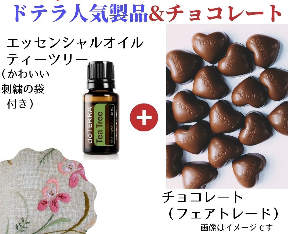 セット アロマ ドテラ オイル」の人気商品一覧 | 安い商品を通販サイト