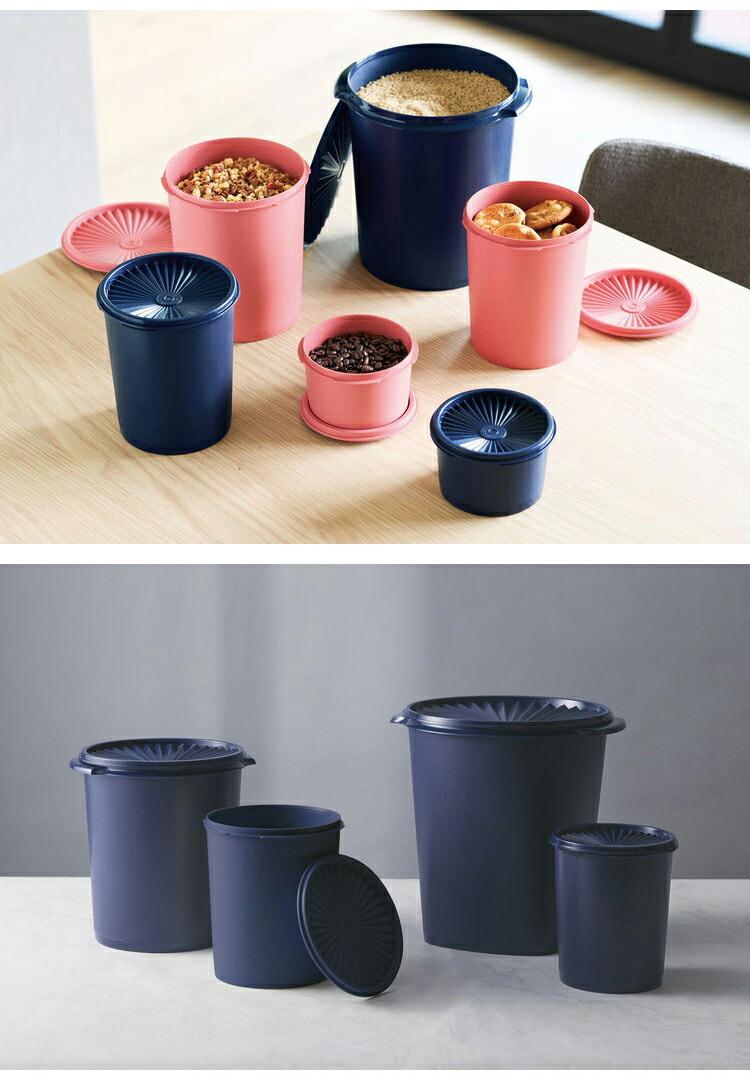 楽天市場】タッパーウェア マキシクイーンデコレーター 密封 密封 保存