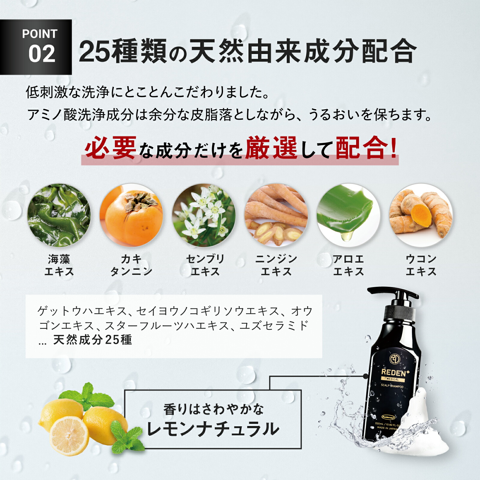 楽天市場】【公式】 REDEN メディカルスカルプシャンプー 2本〜 リデン