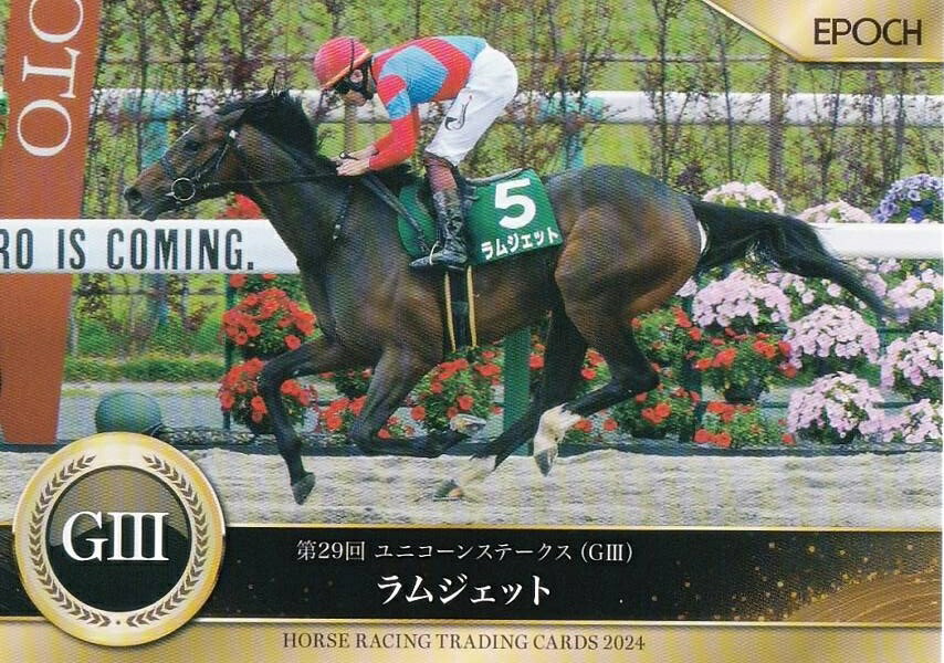 楽天市場】ホースレーシングトレーディングカードの通販