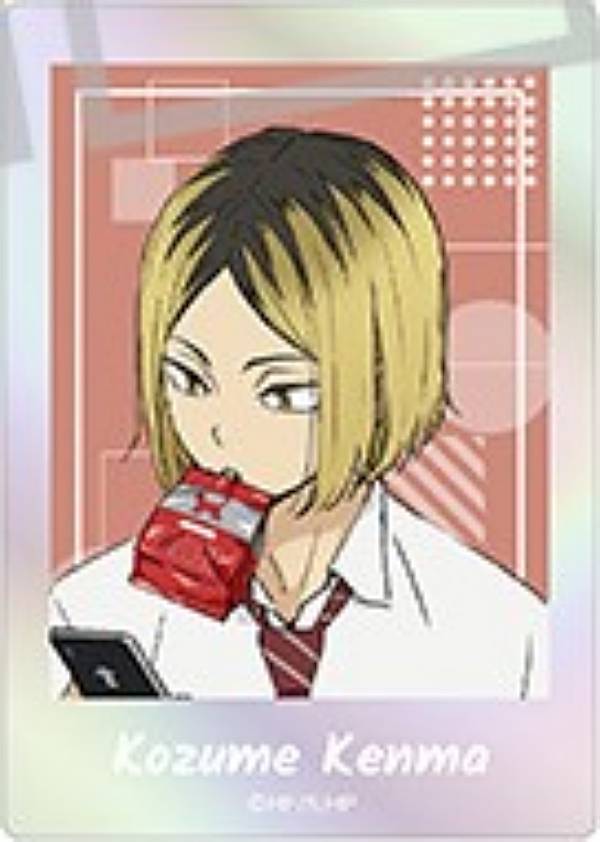 楽天市場】ぱしゃこれ ハイキューの通販