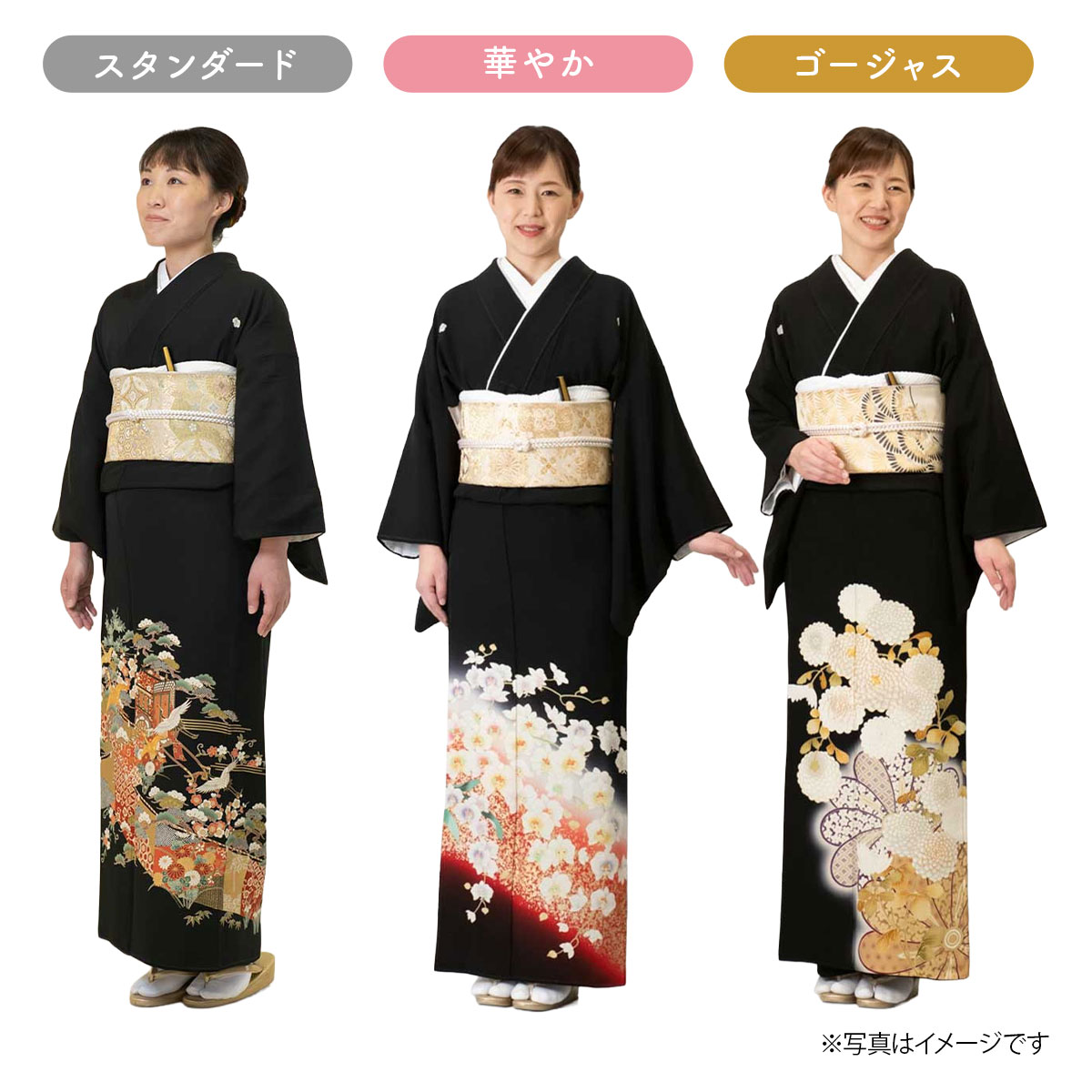 楽天市場】黒留袖＆モーニングおまかせご両親セット 留袖レンタル 格安