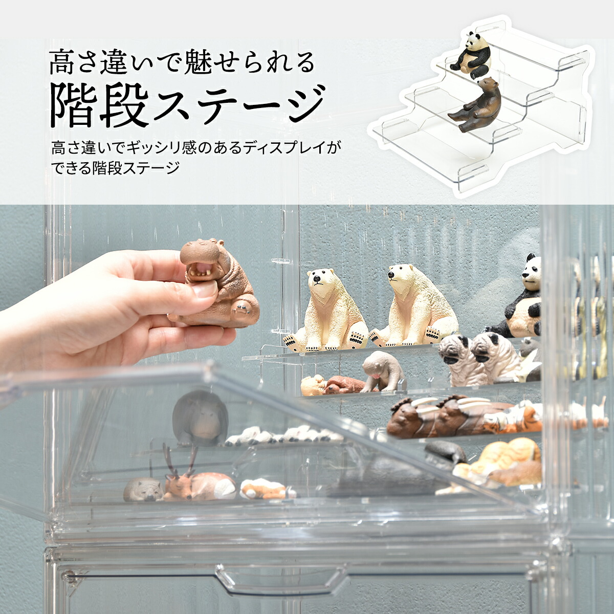 楽天市場】ディスプレイケース 【2個セット】 棚付き 透明 クリア