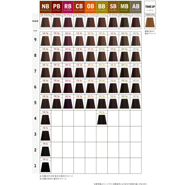 楽天市場】中野製薬 ナカノ キャラデコ パブェ caradeco paveグレイ