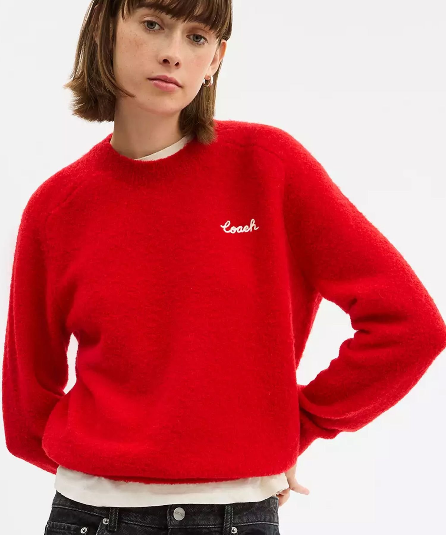 COACH OUTLET｜【公式】コーチ エンブロイダード クルーネック