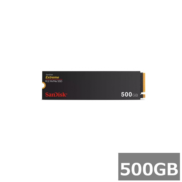 新品 EN760 SSD NVMe M.2 500GB×2枚 計1TB 新品 EN760 SSD NVMe M.2