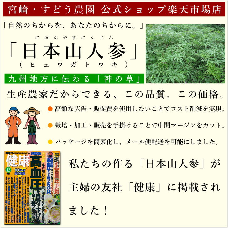 楽天市場】日本山人参サプリ お試し♪100％純粋粉末カプセル30粒 宮崎