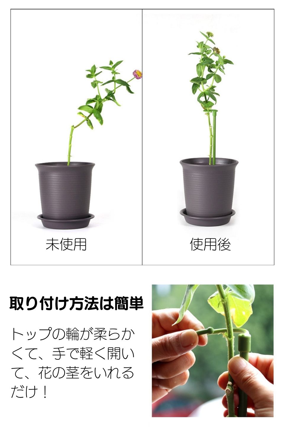 楽天市場】6本セット 植物支柱 花ささえ 園芸支柱 つる性植物 観葉支柱