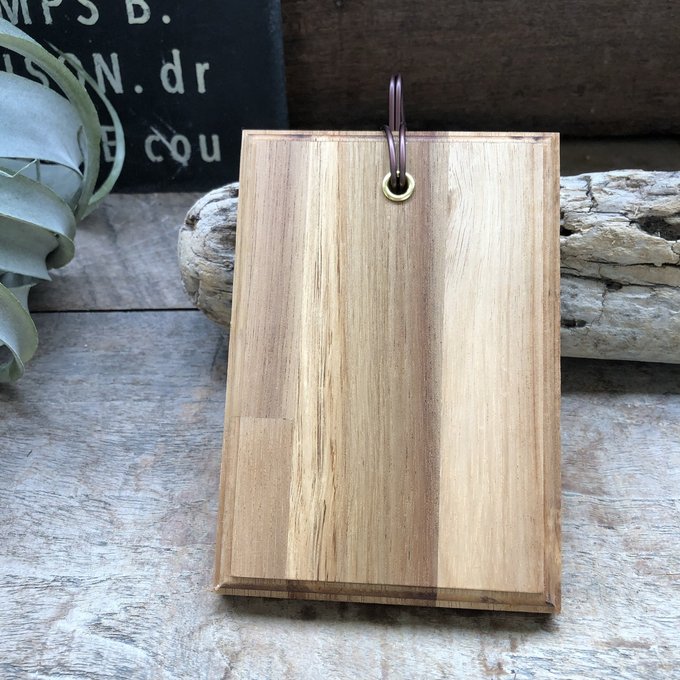 楽天市場】ねこの着生板 Sサイズ コウモリラン ビカクシダ 板付け