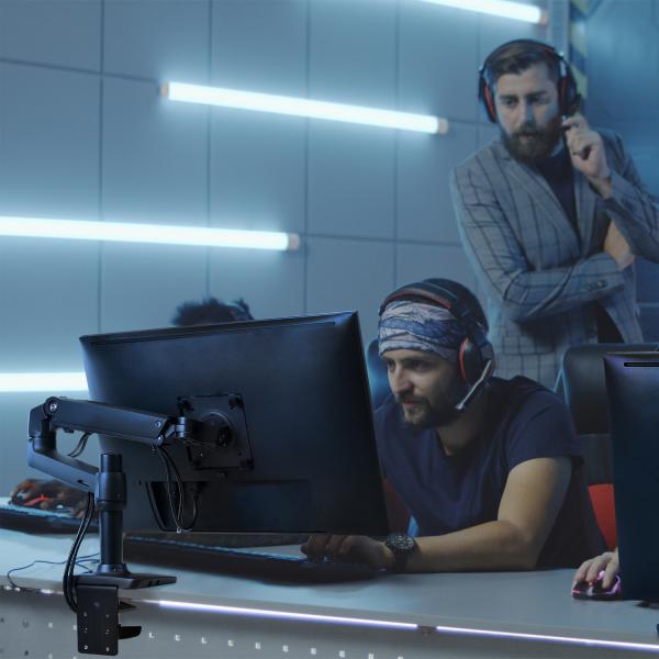 楽天市場】エルゴトロン LX デスクマウント モニターアーム マット