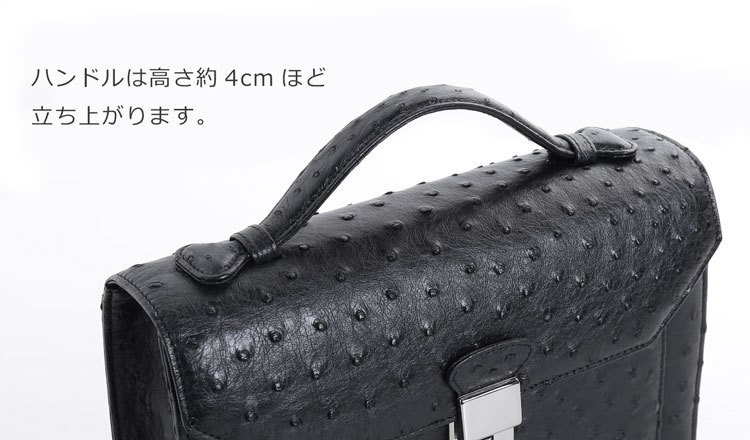 楽天市場】オーストリッチ メンズ セカンドバッグ ダイヤルロック式