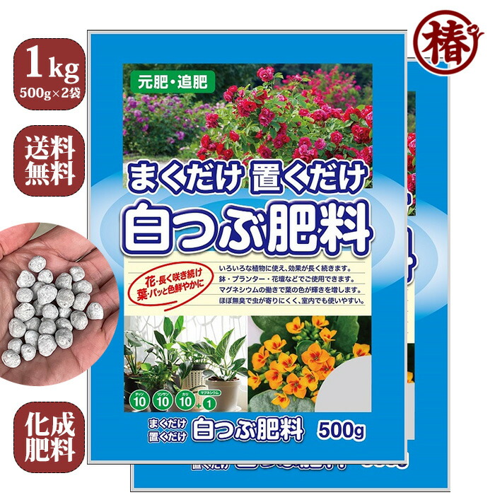 楽天市場】【送料無料】白つぶ肥料 1kg（500g×2袋）化成肥料 しろつぶ