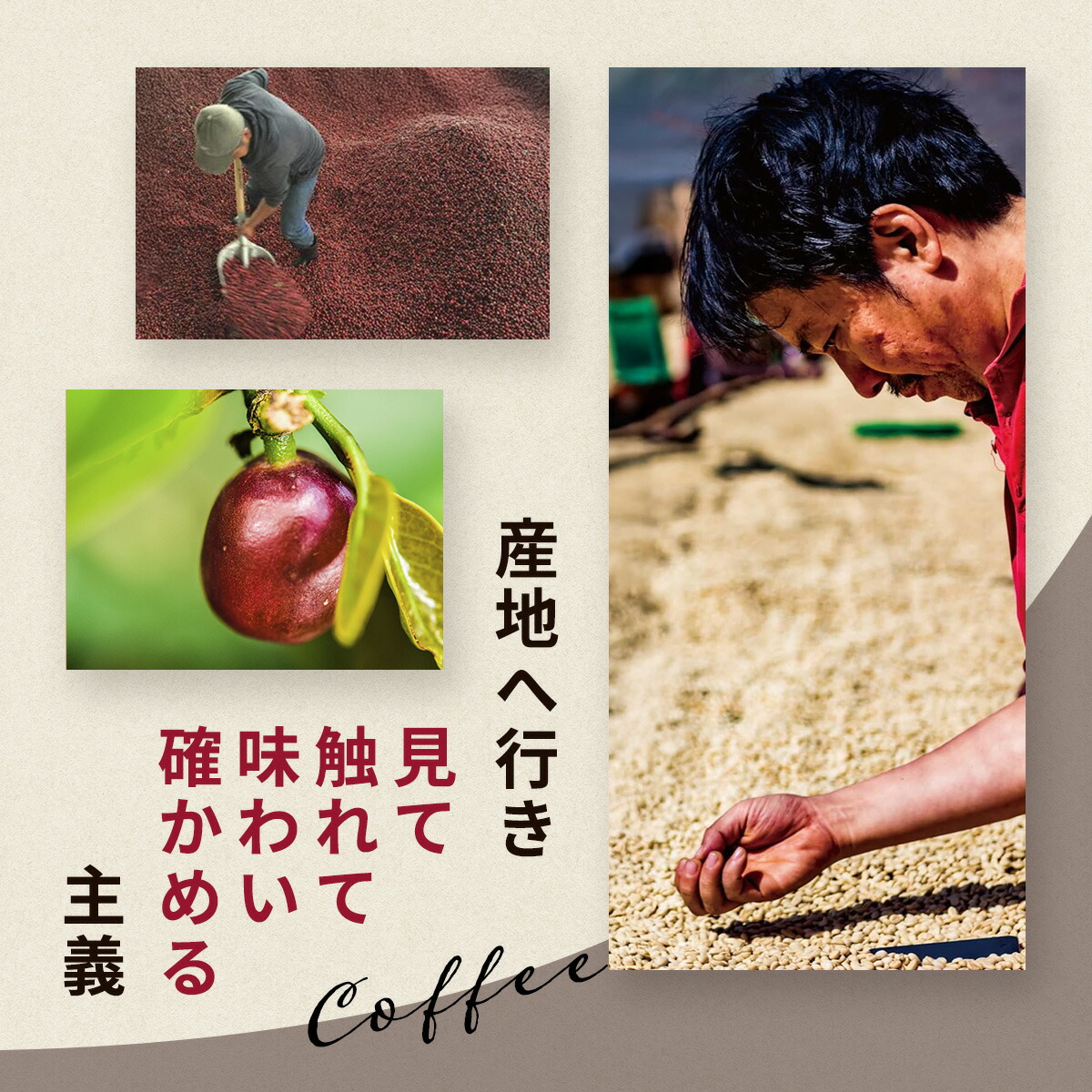 楽天市場】サザコーヒー アイスコーヒー 無糖 コーヒー 業務用 1000ml