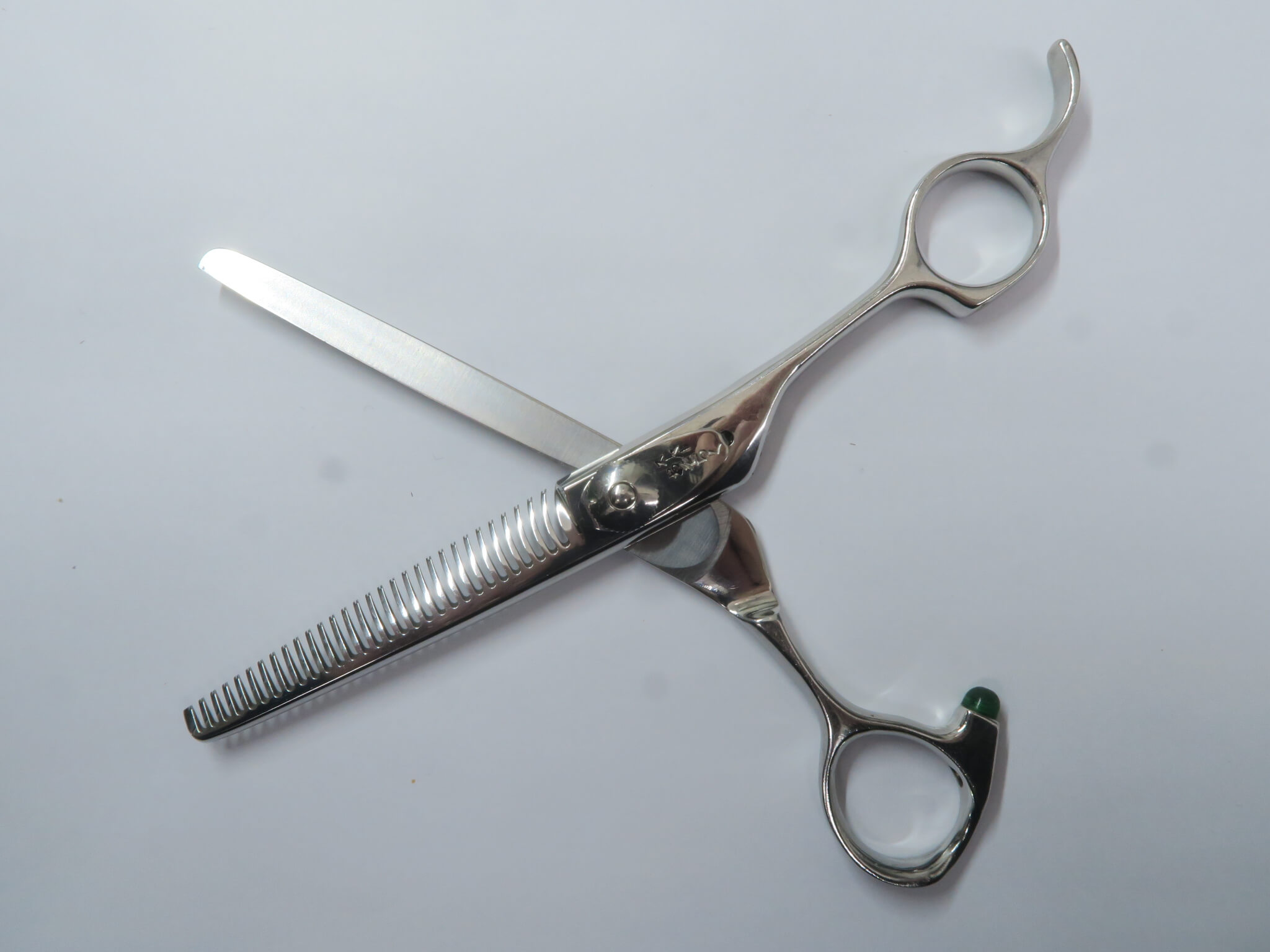 楽天市場】Bランク【タマコーシザース】 スーパーおそらく SUPER