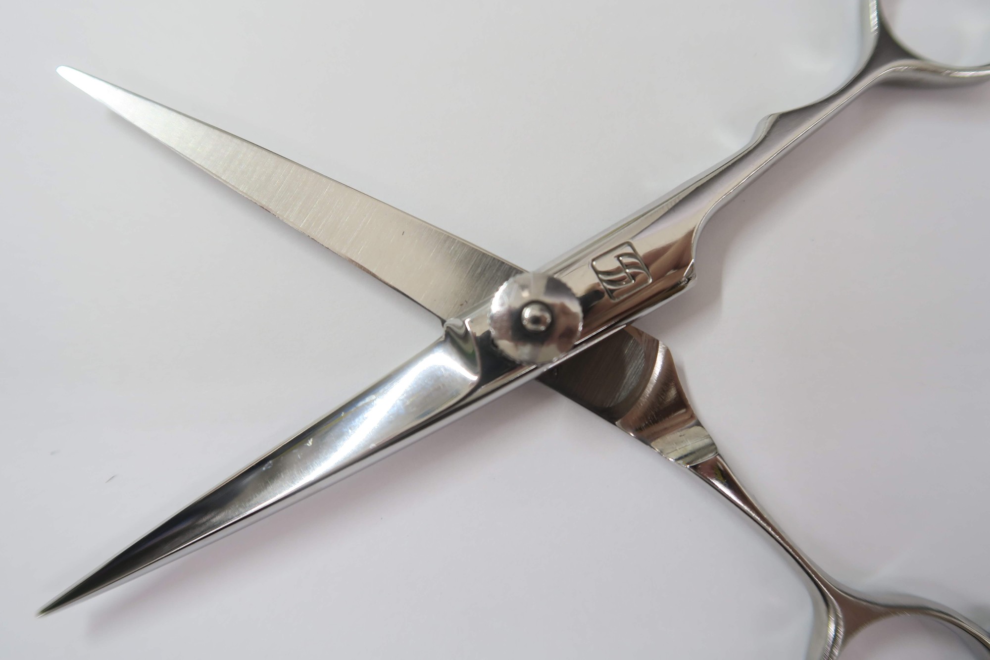 楽天市場】Bランク【SUCCEED サクシード】 CAMEL 5.5 キャメル シザー