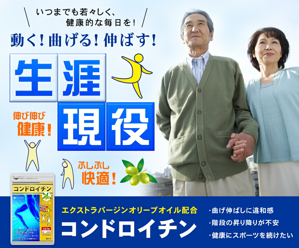 楽天市場】【2/26開始☆タイムセールで298円】コンドロイチン≪約1ヶ月