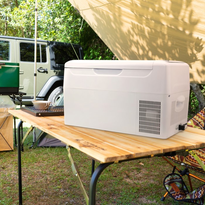 楽天市場】RELICIA 車載冷凍冷蔵庫 容量22L ブラック RLC-CF22 TOHO