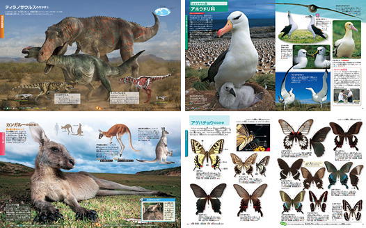 楽天市場】講談社の動く図鑑 MOVE（ 全巻DVDつき） セット 既11巻 : 脳