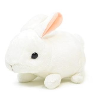 楽天市場】【AQUA 正規品】 ぬいぐるみ ファーム もちもち うさぎ