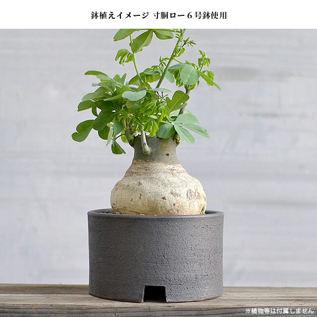 楽天市場】KAMIYAMA -ZUNDO- LOW POT【BLACK 4号LOW 】11cm×8.5cm かみ