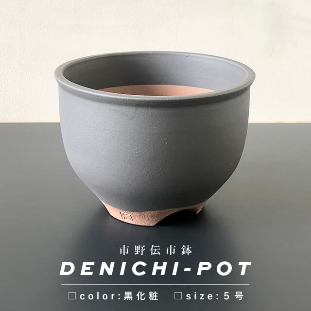 楽天市場】伝市鉢 コウロ型【黒化粧】5号 φ16cm×H11cm 植木鉢 陶器