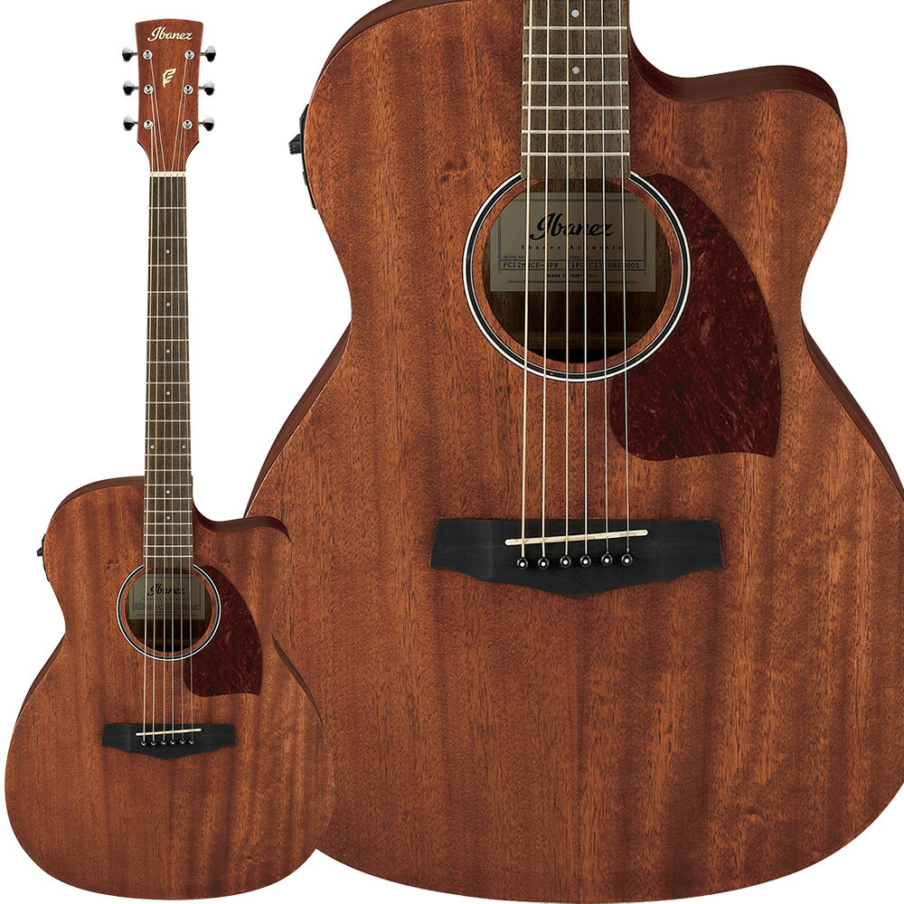 楽天市場】PLAYTECH（プレイテック） エレアコ ギター RG10