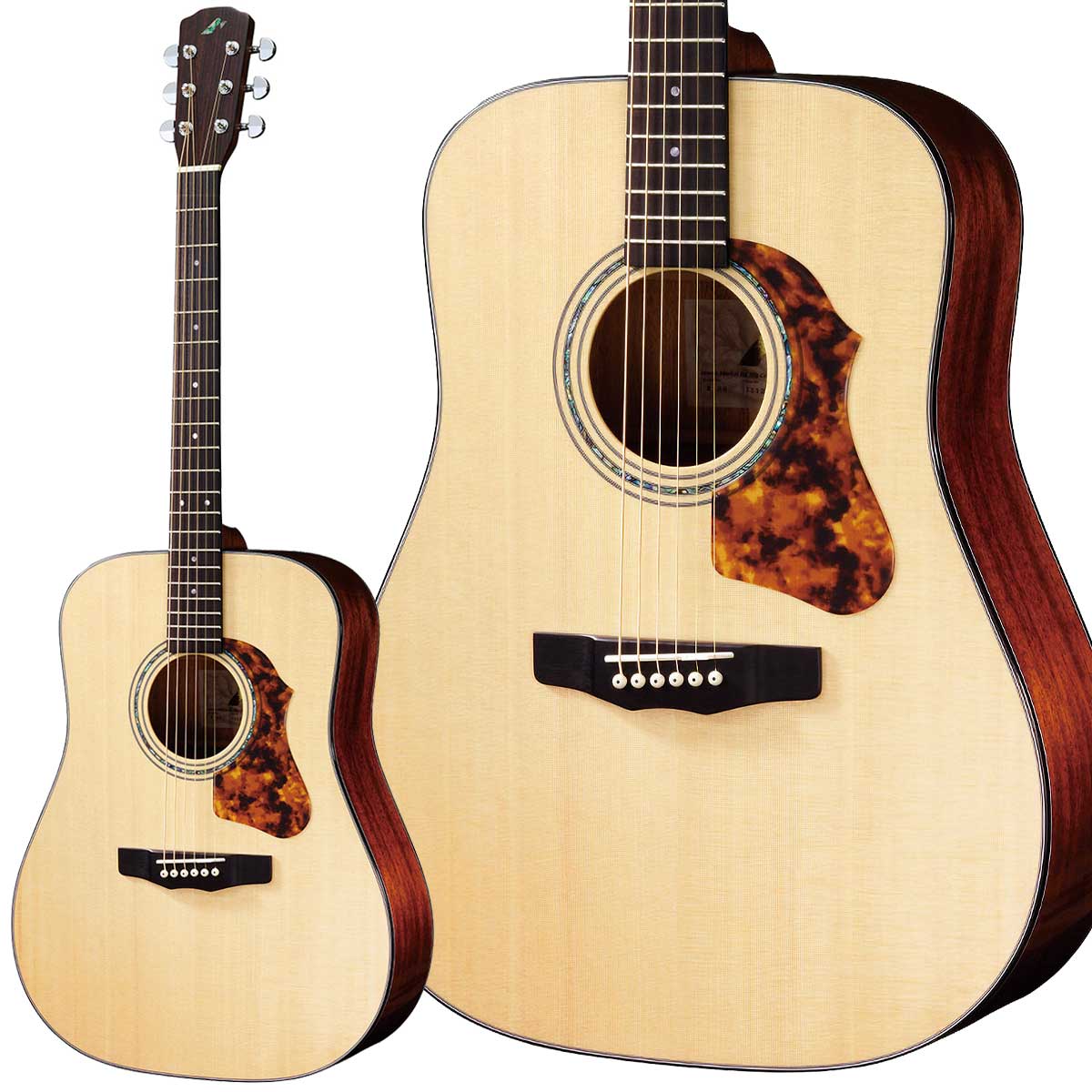 オール単板 アコースティックギター モーリス」の人気商品一覧 | 安い