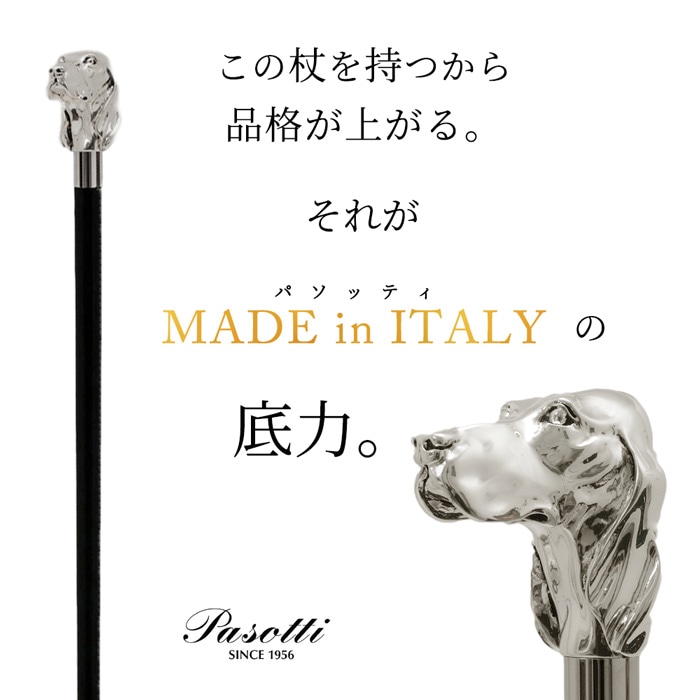 楽天市場】ステッキ 杖 おしゃれ かっこいい 一本杖 セッター犬