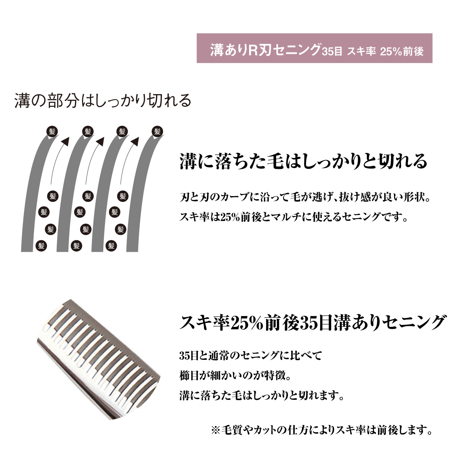 楽天市場】日本の鋏専門メーカー 理美容師専用 /【BA】XXC635RV