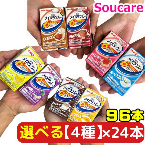 メイバランスmini 6種類 24本×6 144本 ② メイバランスmini 6種類 24本