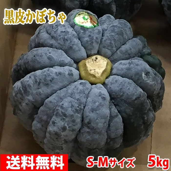 楽天市場】宮崎県産 黒皮かぼちゃ S〜Mサイズ 8個前後入り 5kg 送料