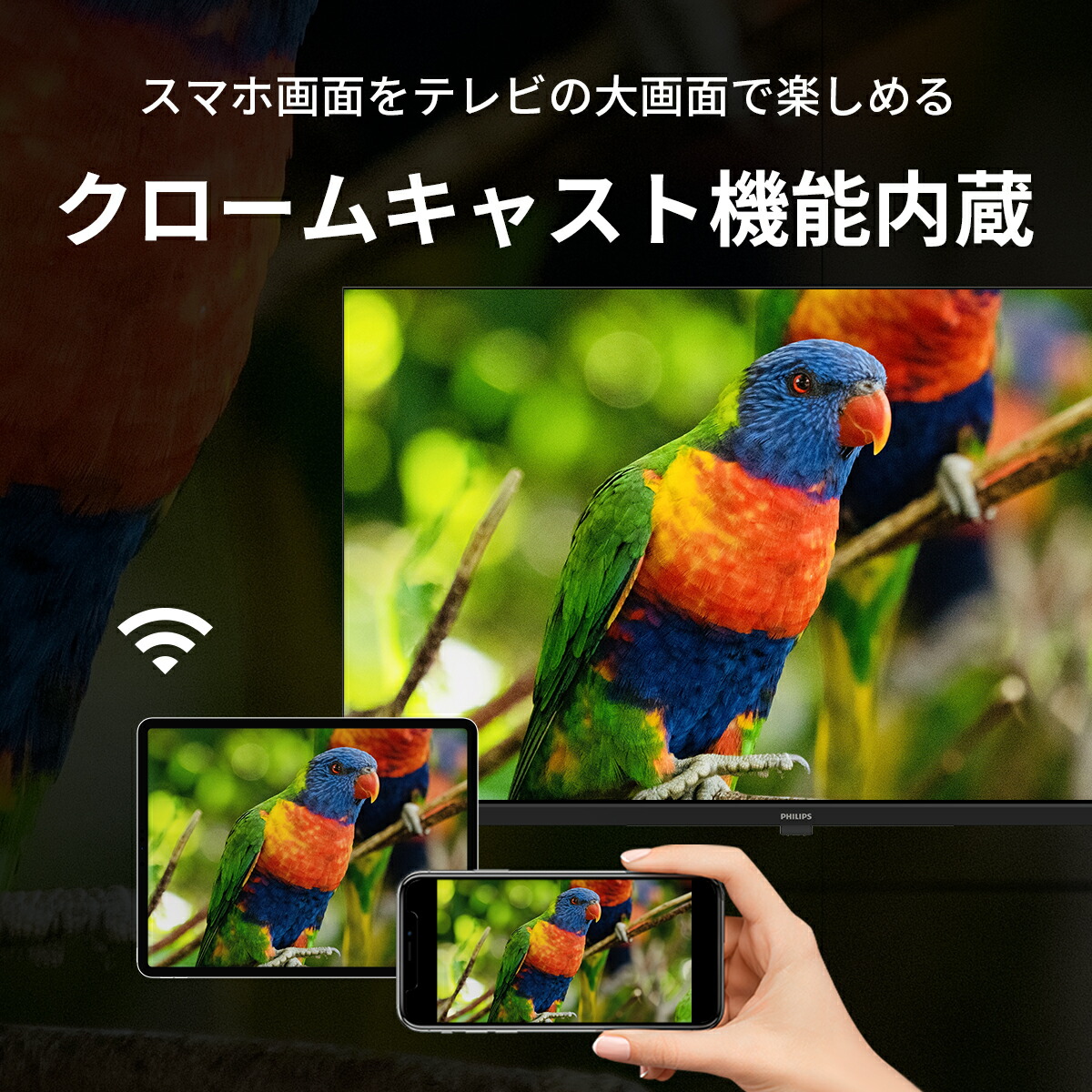 楽天市場】Philips テレビ 55型 65型 チューナーレステレビ 4K UHD 4k