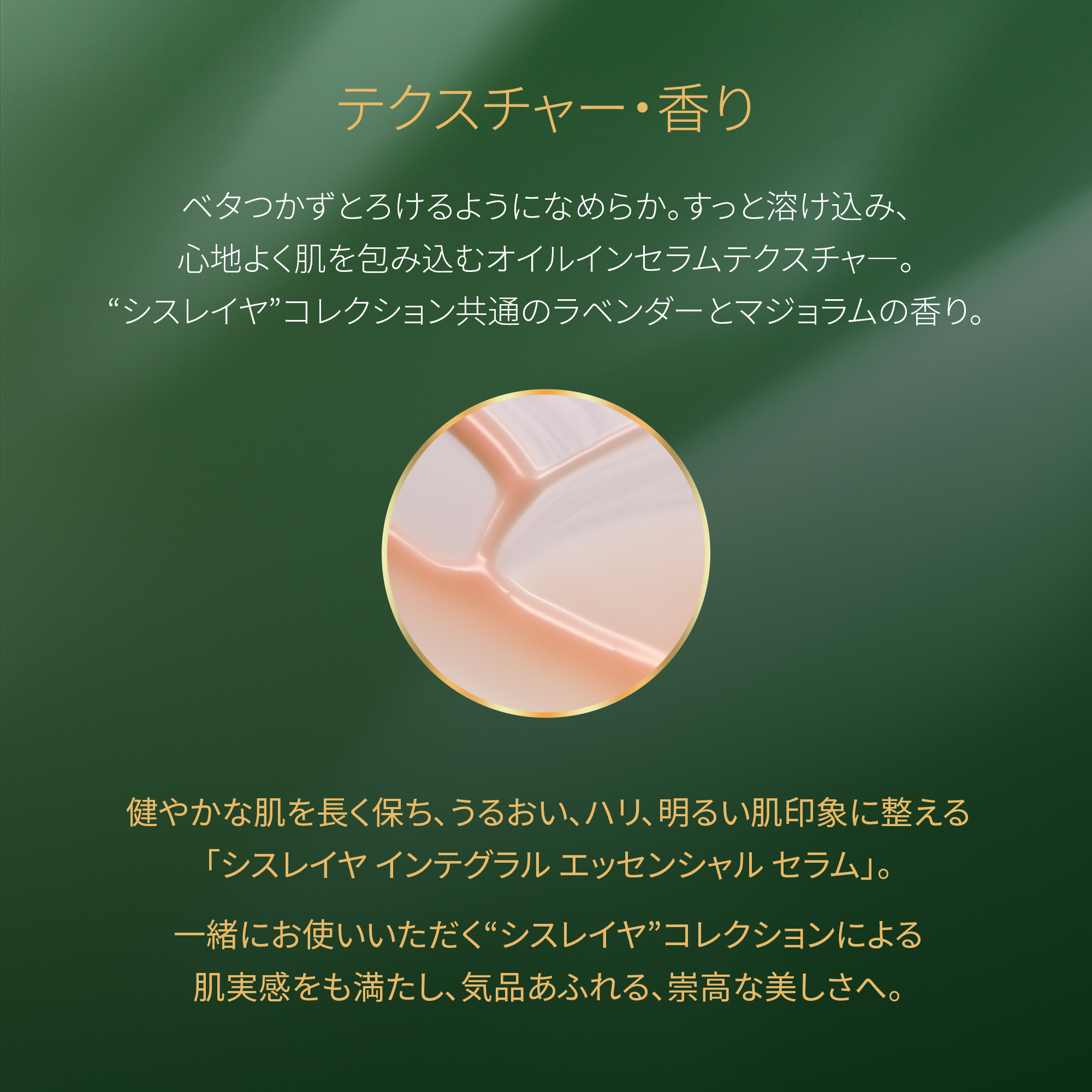 楽天市場】【公式】 シスレー シスレイヤ インテグラル エッセンシャル