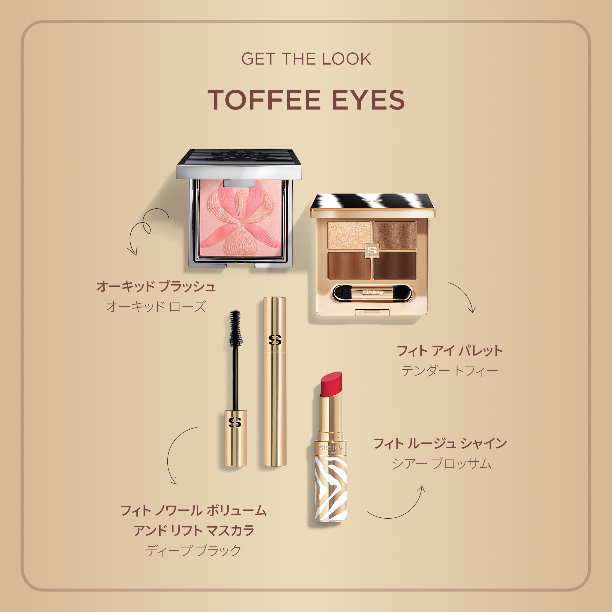 楽天市場】【公式】 シスレー フィト アイ パレット アイシャドウ アイ