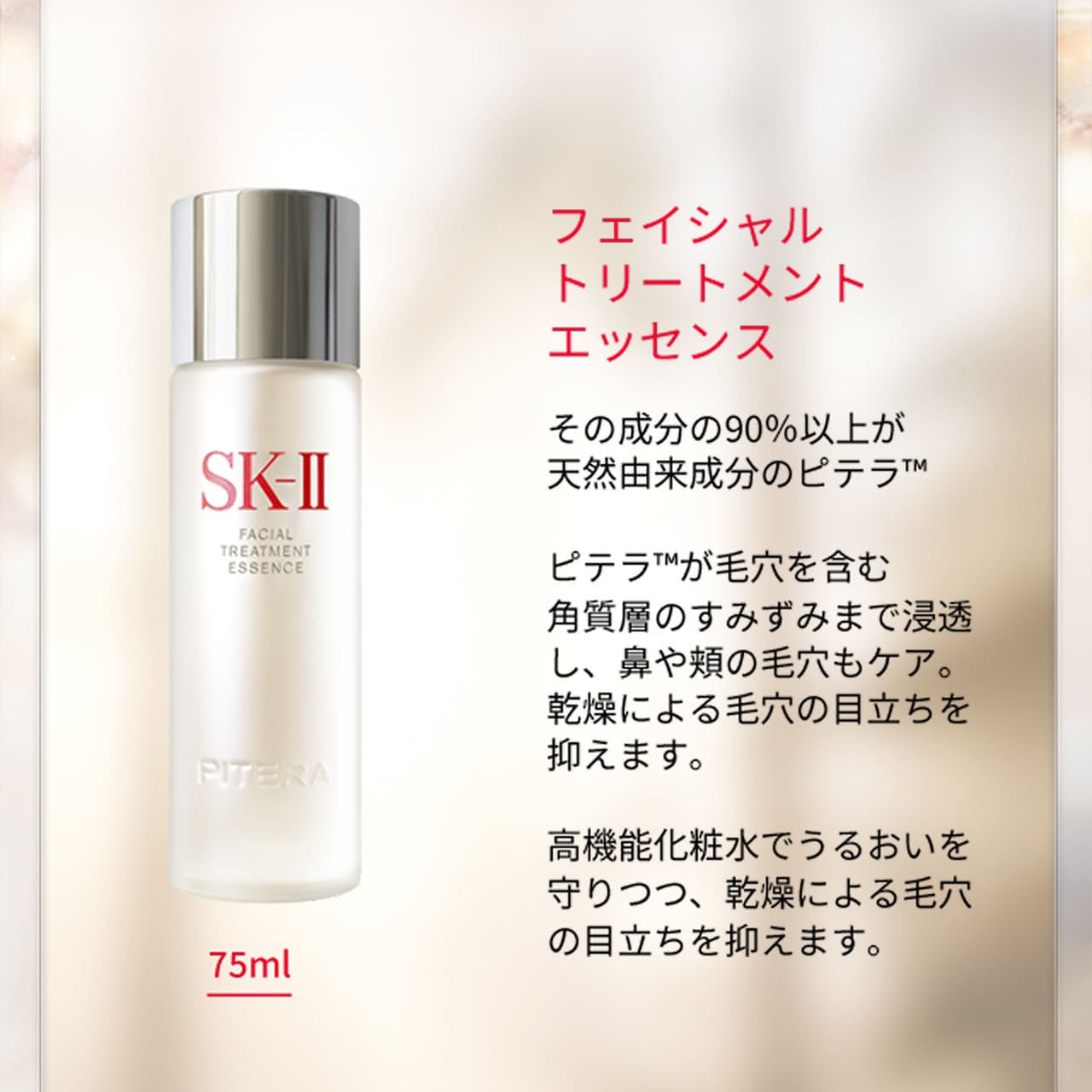 楽天市場】ピテラベストコレクション2025 ホリデーコレクション : SK