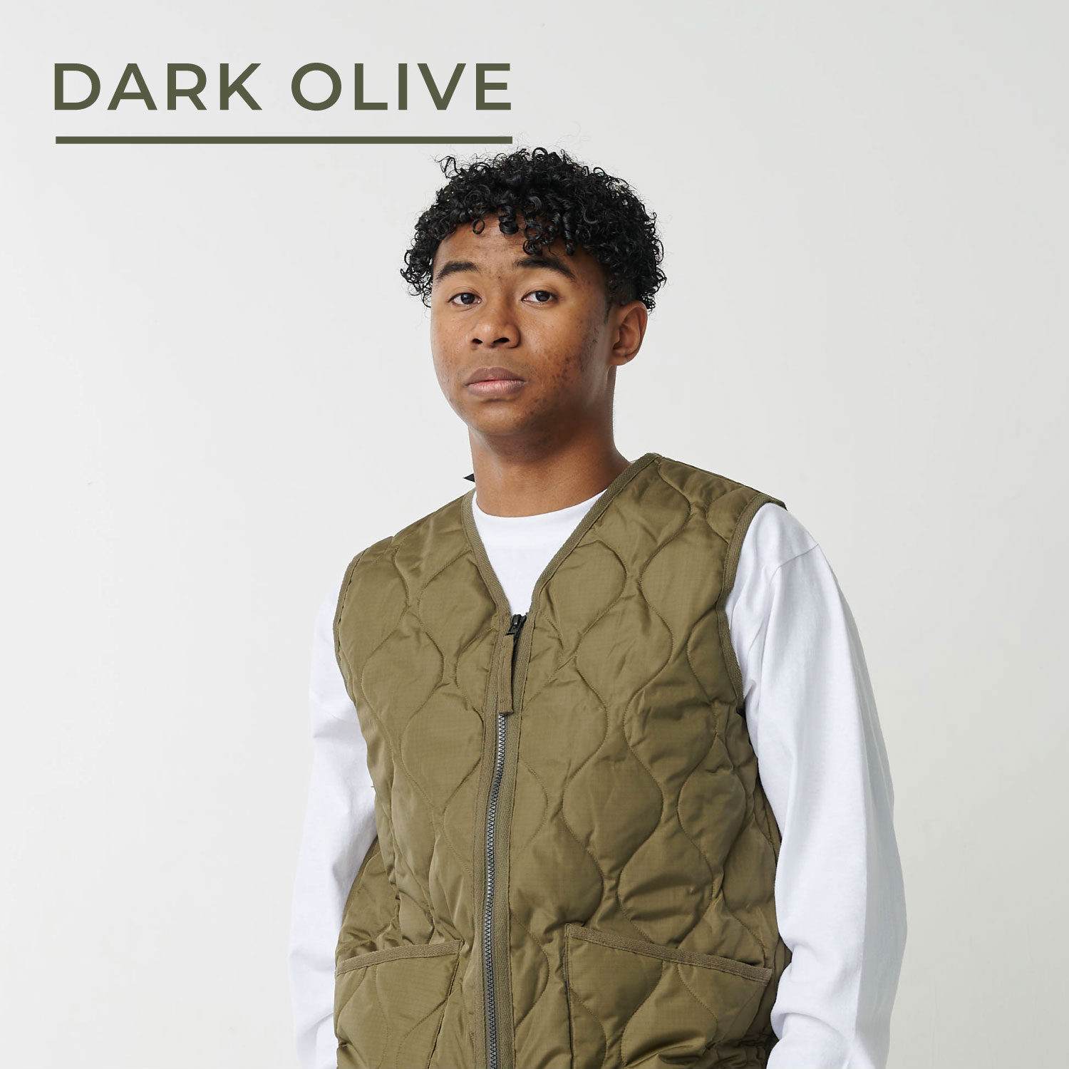 楽天市場】TAION タイオン インナーダウン ベスト アウター メンズ