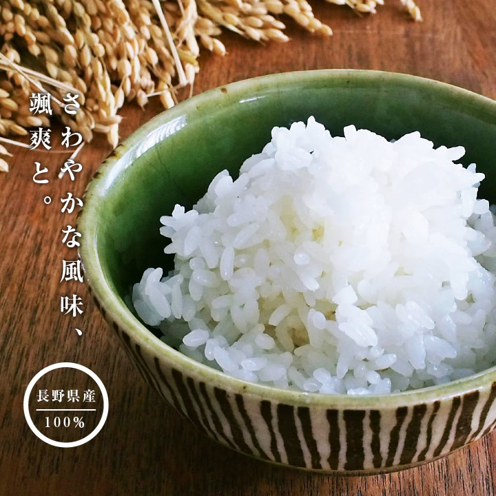 楽天市場】【送料無料】米 10kg 新米 長野県産 風さやか 令和7年度産