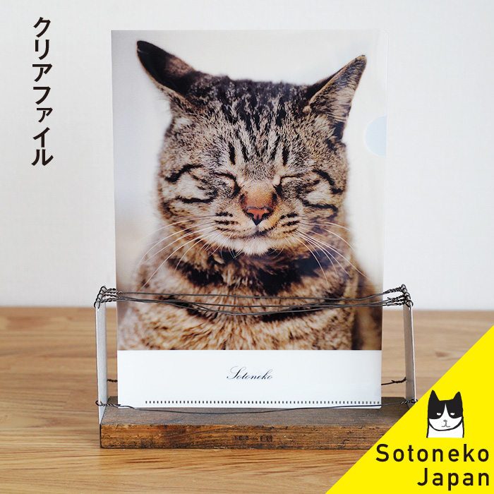 楽天市場】キジ猫の通販