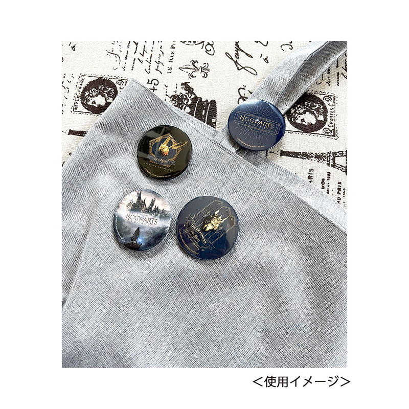 楽天市場】[公式] ハリー・ポッター ホグワーツ・レガシー Hogwarts