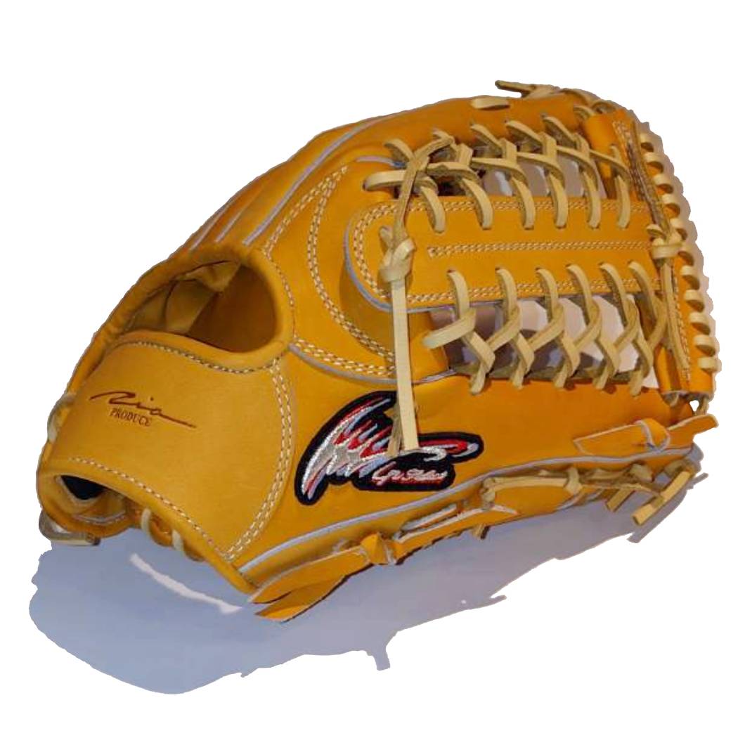 楽天市場】アイピーセレクト ip select ipセレクト 専用グラブ袋付き