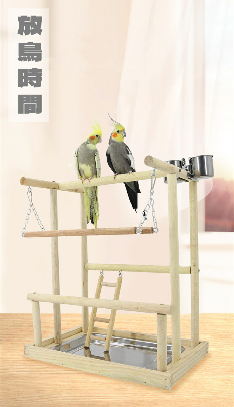 楽天市場】 インコ オウム 遊び場 二層 バード アスレチック 玩具
