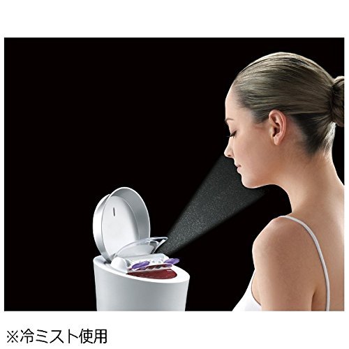 Panasonic EH-CSA96 スチーマー 概要 スチーマー ナノケア / W温冷